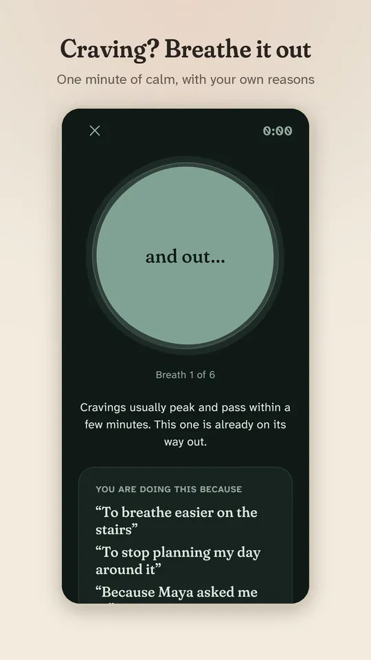 Smallbird screenshot: calm