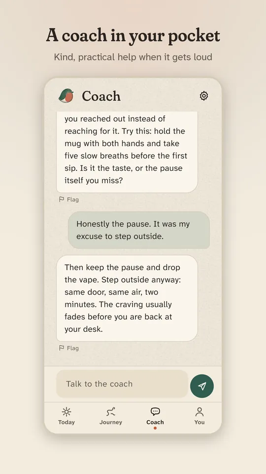 Smallbird screenshot: coach