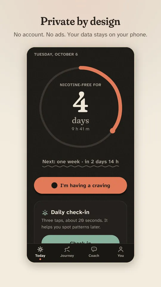 Smallbird screenshot: dark
